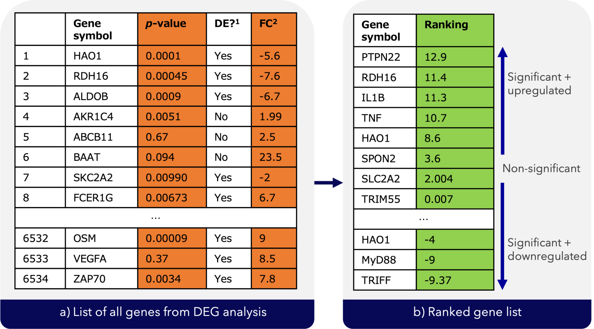 Gene Set Enrichment Analysis